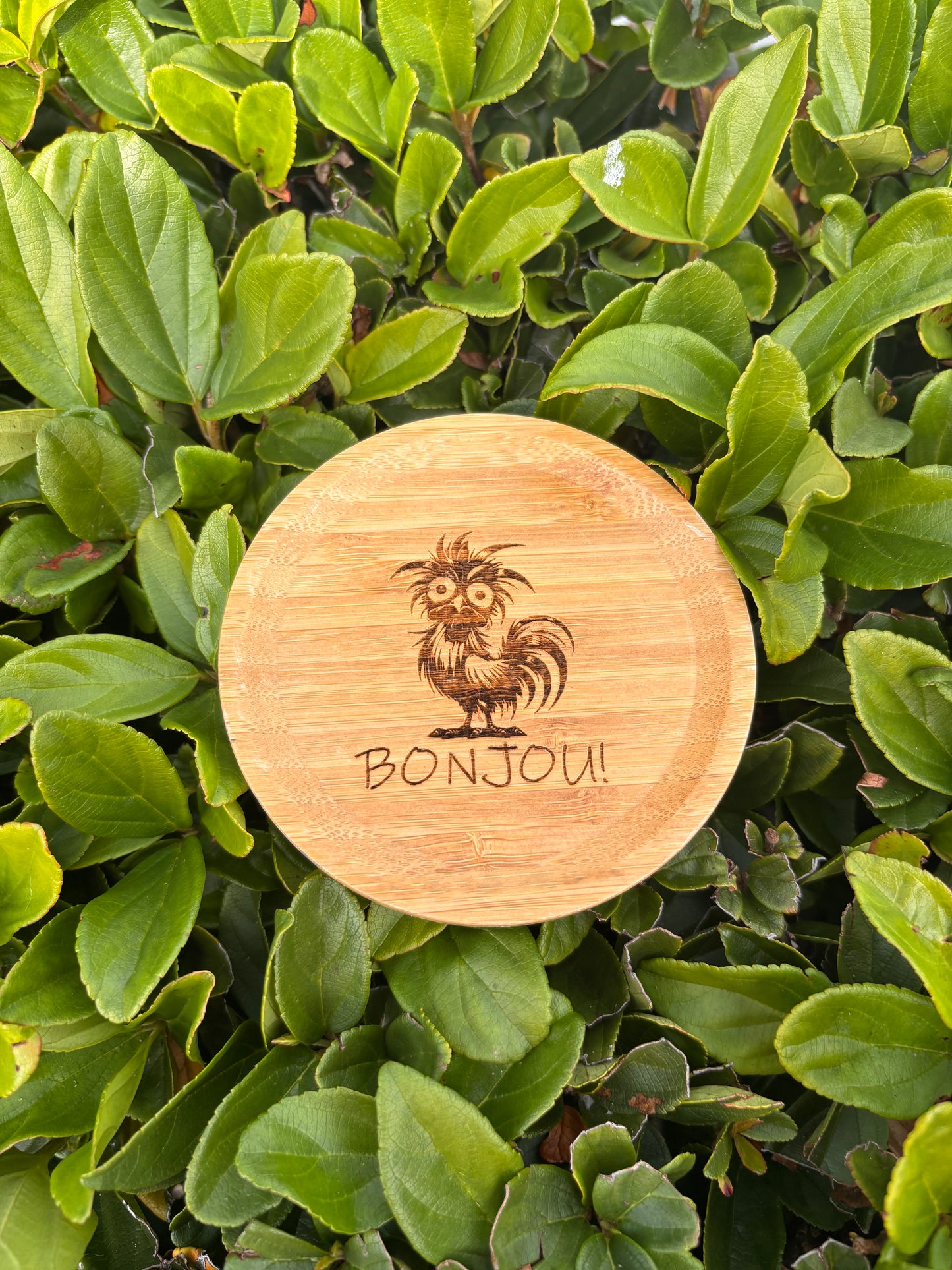 Coasters - Akajou