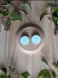 Jayda Stud Earrings - Akajou